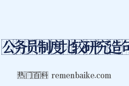 公务员制度比较研究造句是什么意思的图片